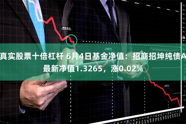 真实股票十倍杠杆 6月4日基金净值：招商招坤纯债A最新净值1.3265，涨0.02%