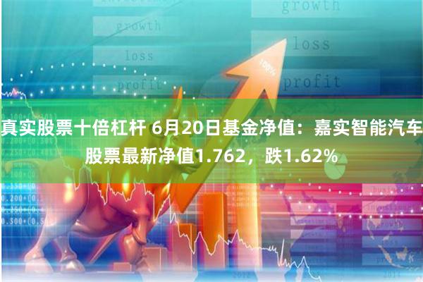 真实股票十倍杠杆 6月20日基金净值：嘉实智能汽车股票最新净值1.762，跌1.62%