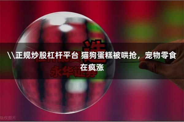 \正规炒股杠杆平台 猫狗蛋糕被哄抢，宠物零食在疯涨