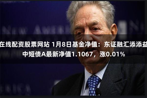 在线配资股票网站 1月8日基金净值：东证融汇添添益中短债A最新净值1.1067，涨0.01%