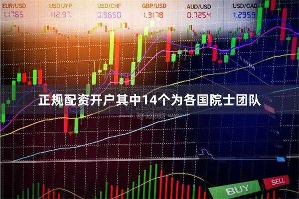 正规配资开户其中14个为各国院士团队